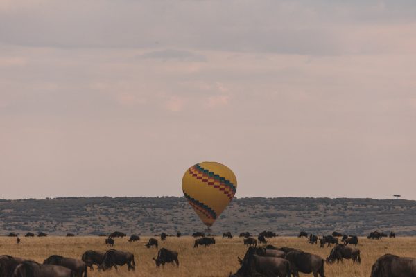 baloon-safari-masai-mara